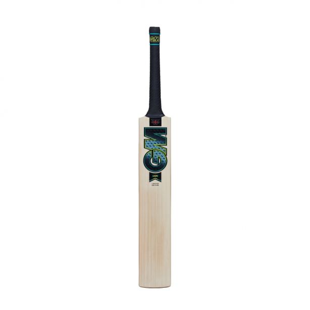 GM Aion DXM 404 TTNOW Junior Cricket Bat
