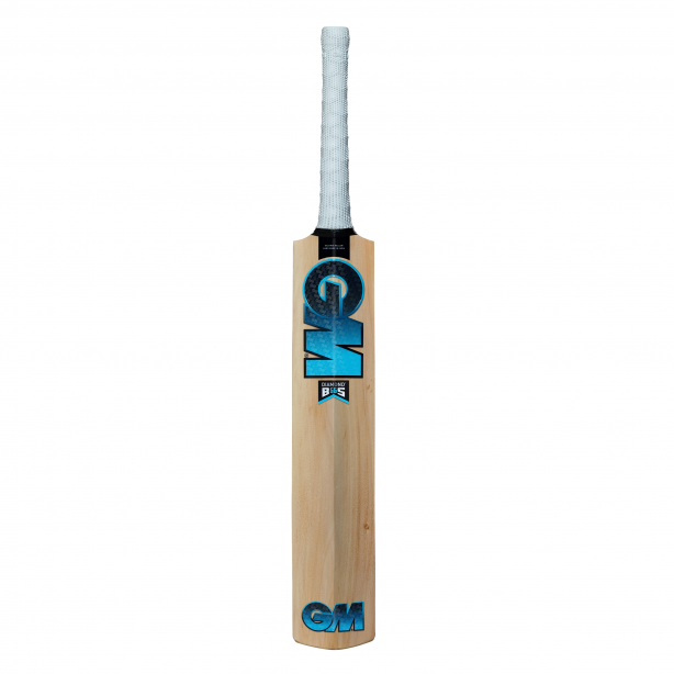 GM Diamond 202 Kashmir Willow Junior Cricket Bat