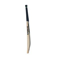 GM Hypa 404 DXM TTNOW Senior Cricket Bat