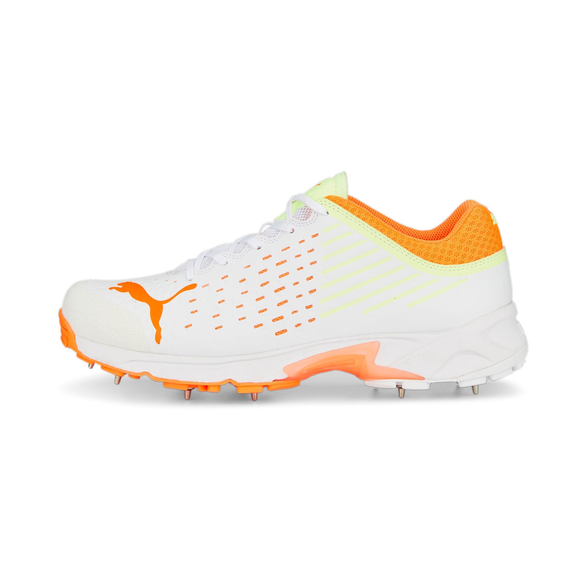 Spike cricket clearance shoes price