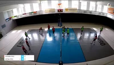 플라미아 프로 vs 오를리-프로