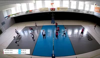 비탸즈 프로 vs 몰롯 프로