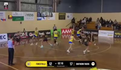 Forestville Eagles vs 서던 타이거스