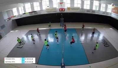 플라미아 프로 vs 비탸즈 프로