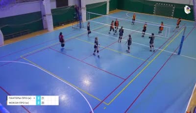 팬터-프로(여) vs 폭시-프로(여)