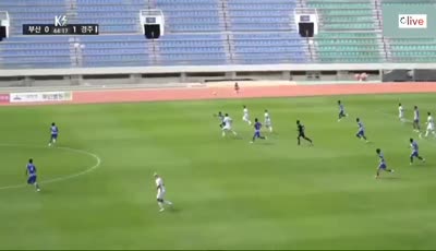 Busan Transportation Corporation vs 경주한수원