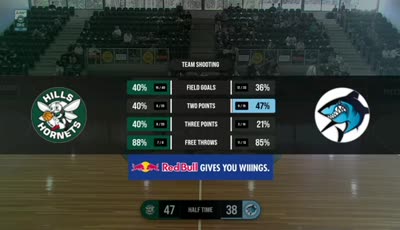 힐즈 호 넷츠 vs 서덜랜드 샤크스