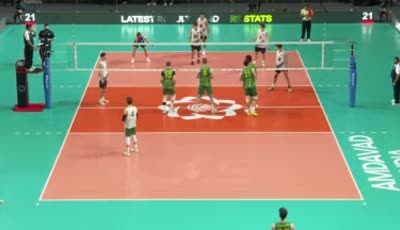 뉴질랜드 vs 호주