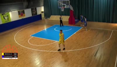 Shenyang Seagulls vs Fuzhou Guardians