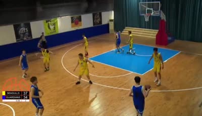 Shenyang Seagulls vs Fuzhou Guardians