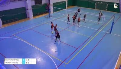 팬터-프로(여) vs 폭시-프로(여)