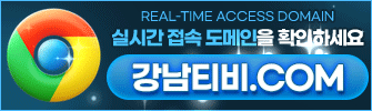 도메인 안내