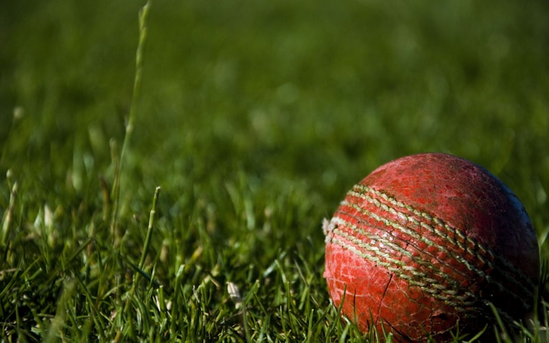 한신 vs 세이부